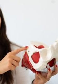 physical therapy pelvic